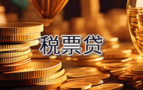 潍坊税票贷
